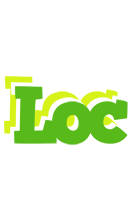 Loc picnic logo