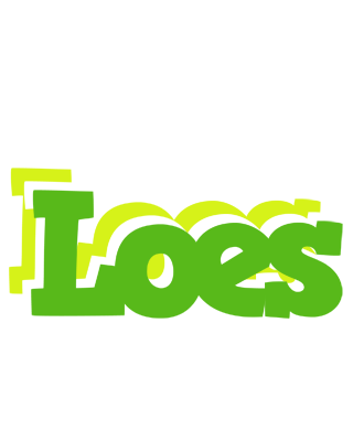Loes picnic logo