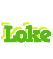 Loke picnic logo