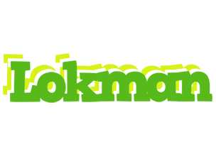 Lokman picnic logo