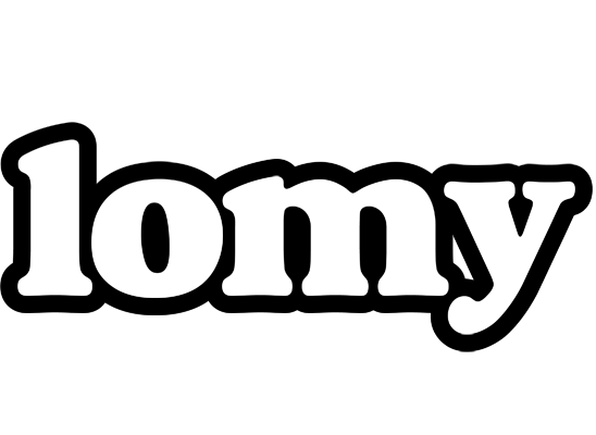 Lomy panda logo