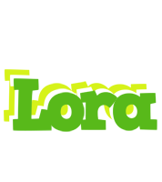 Lora picnic logo