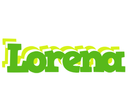 Lorena picnic logo