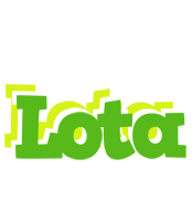 Lota picnic logo