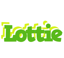 Lottie picnic logo