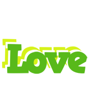 Love picnic logo