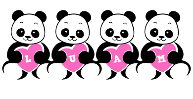 Luam love-panda logo