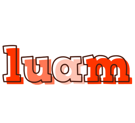 Luam paint logo