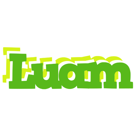 Luam picnic logo