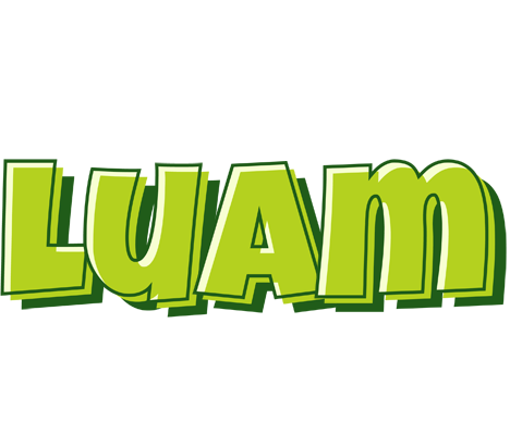 Luam summer logo