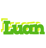 Luan picnic logo