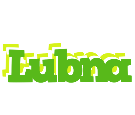 Lubna picnic logo