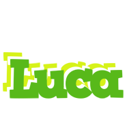 Luca picnic logo
