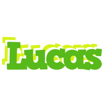 Lucas picnic logo