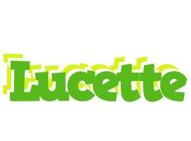 Lucette picnic logo