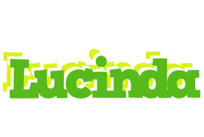 Lucinda picnic logo