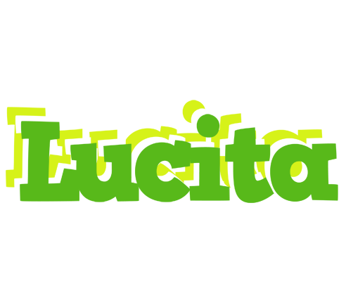 Lucita picnic logo