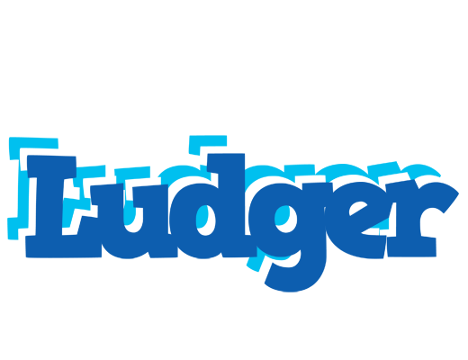 Ludger business logo