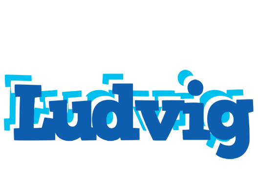 Ludvig business logo