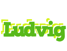 Ludvig picnic logo