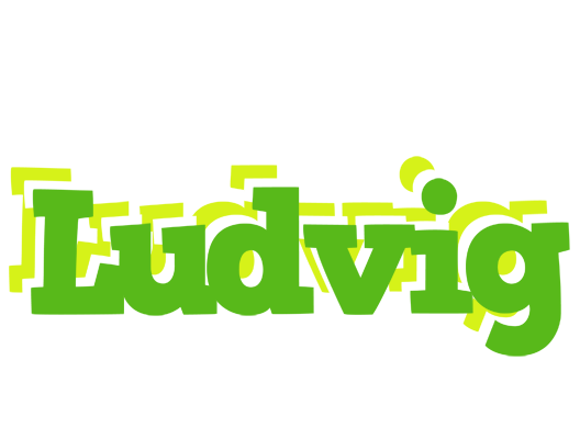 Ludvig picnic logo