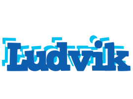 Ludvik business logo