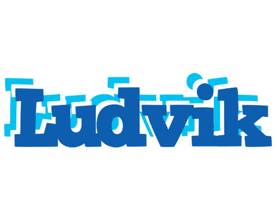 Ludvik business logo