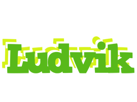 Ludvik picnic logo