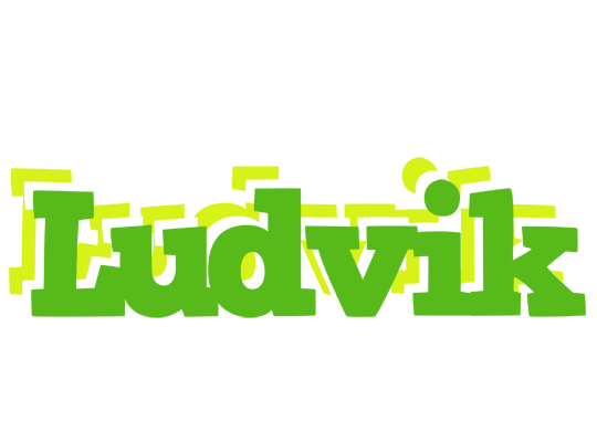 Ludvik picnic logo