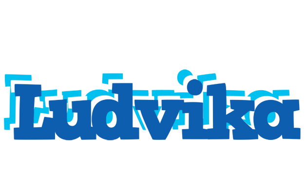 Ludvika business logo