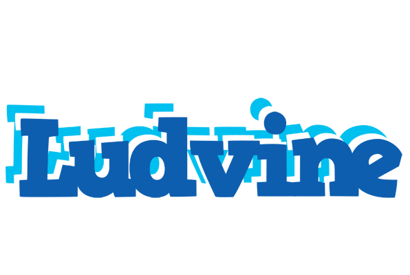 Ludvine business logo