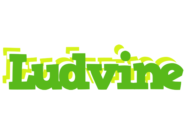 Ludvine picnic logo