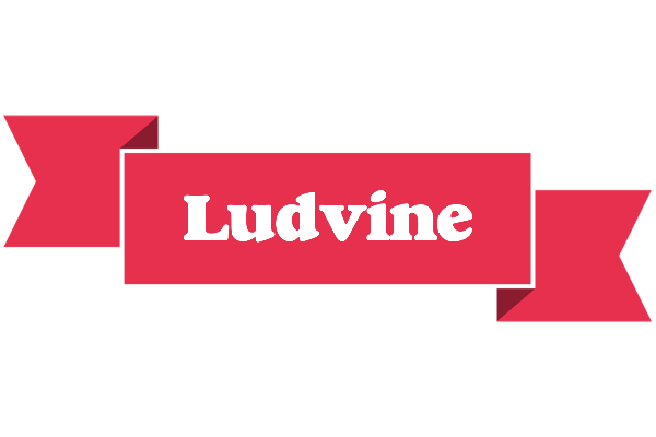 Ludvine sale logo