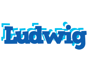 Ludwig business logo