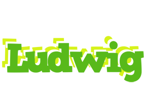 Ludwig picnic logo