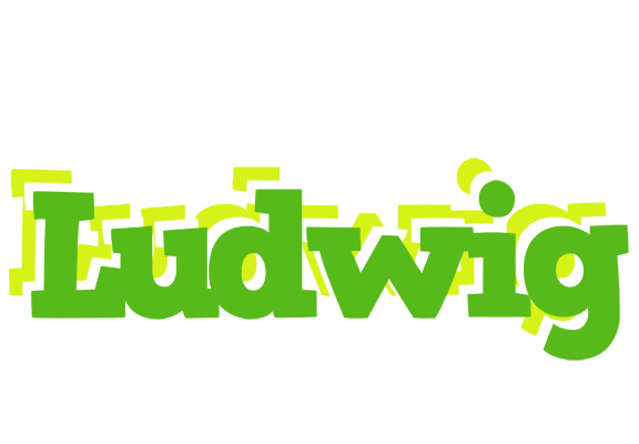 Ludwig picnic logo