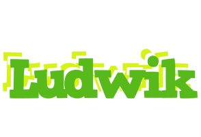 Ludwik picnic logo