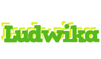Ludwika picnic logo