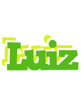 Luiz picnic logo