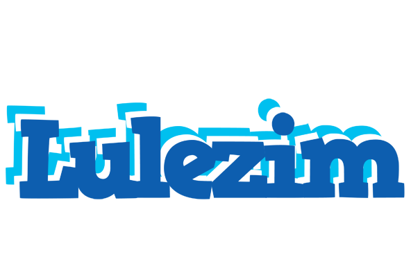 Lulezim business logo