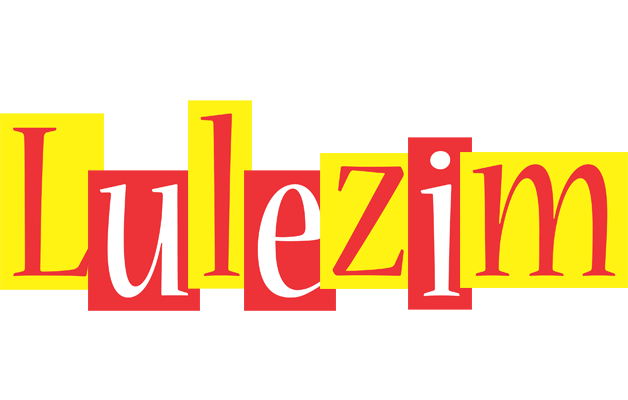 Lulezim errors logo