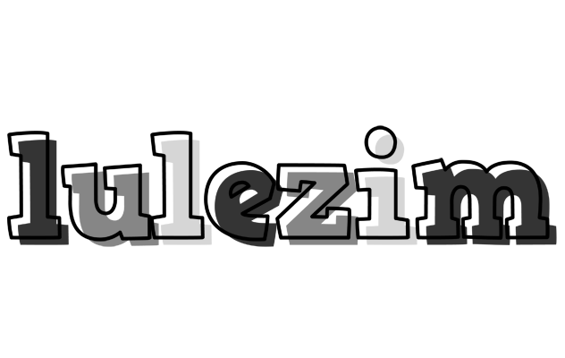 Lulezim night logo