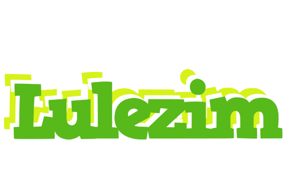 Lulezim picnic logo