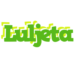 Luljeta picnic logo