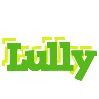 Lully picnic logo