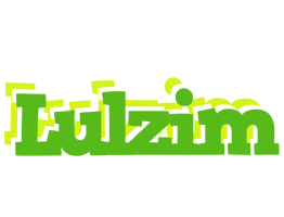 Lulzim picnic logo