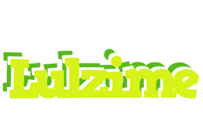 Lulzime citrus logo