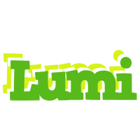 Lumi picnic logo