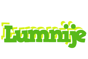 Lumnije picnic logo