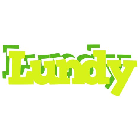 Lundy citrus logo